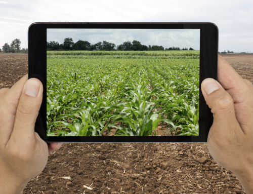 Augmented Reality in UX